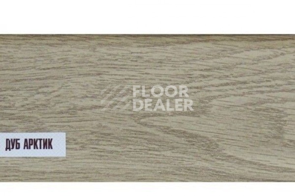 Сопутствующие материалы Плинтус Ideal Comfort 55mm Дуб Арктик 202 фото 1 | FLOORDEALER